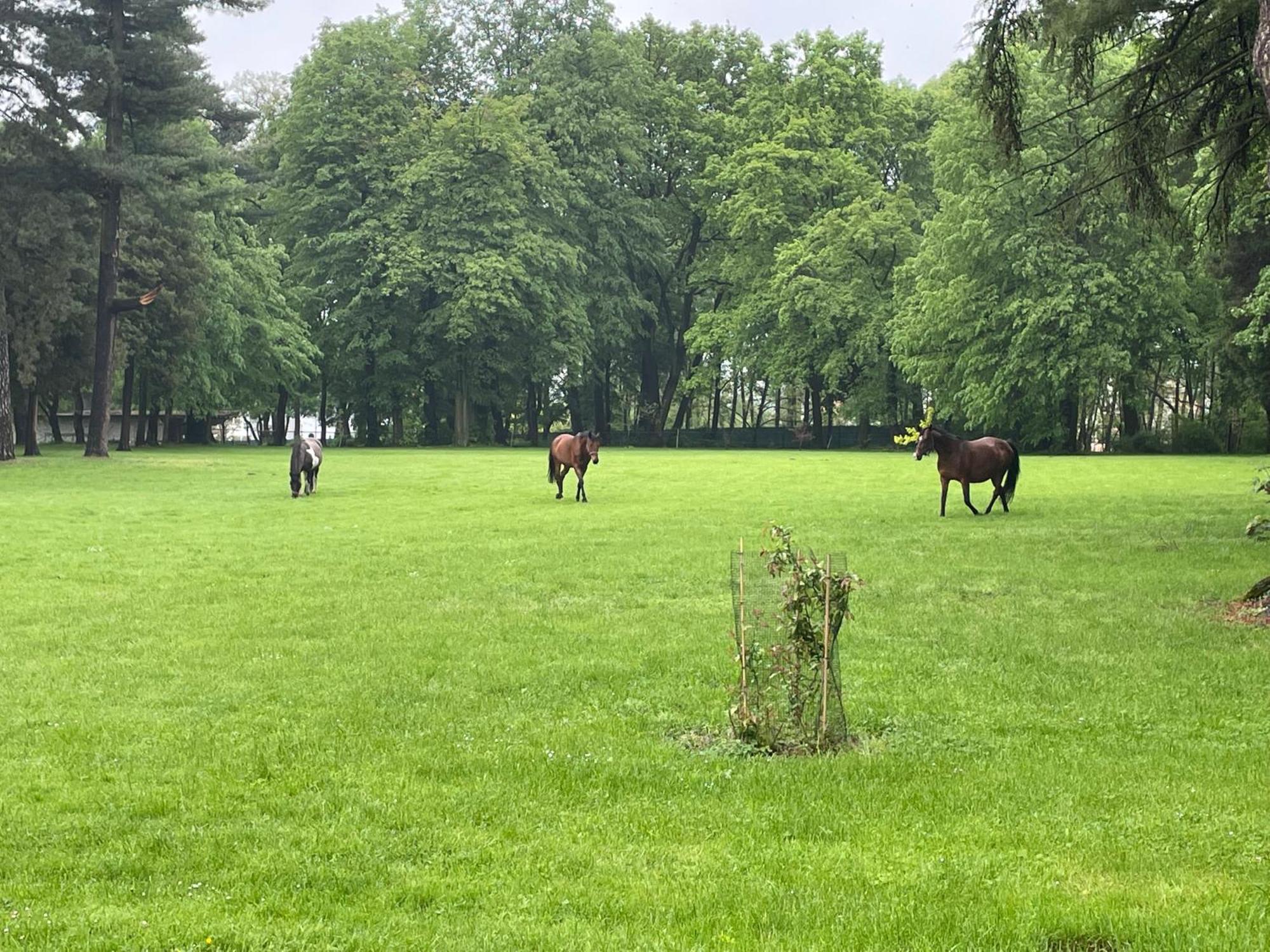 Palac Zbylitowskich Zbylitowska Gora Esterno foto